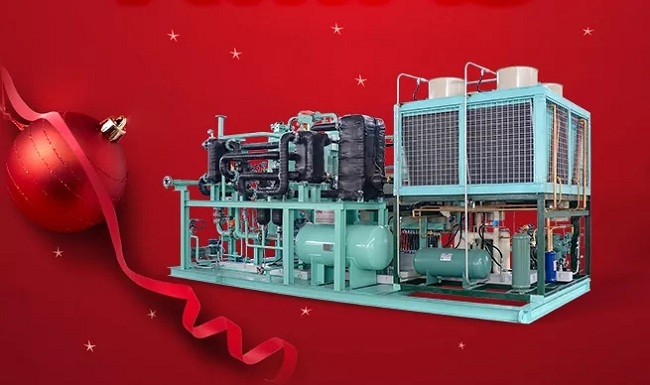 星辉注册集团辞旧迎新，金鼠送福！